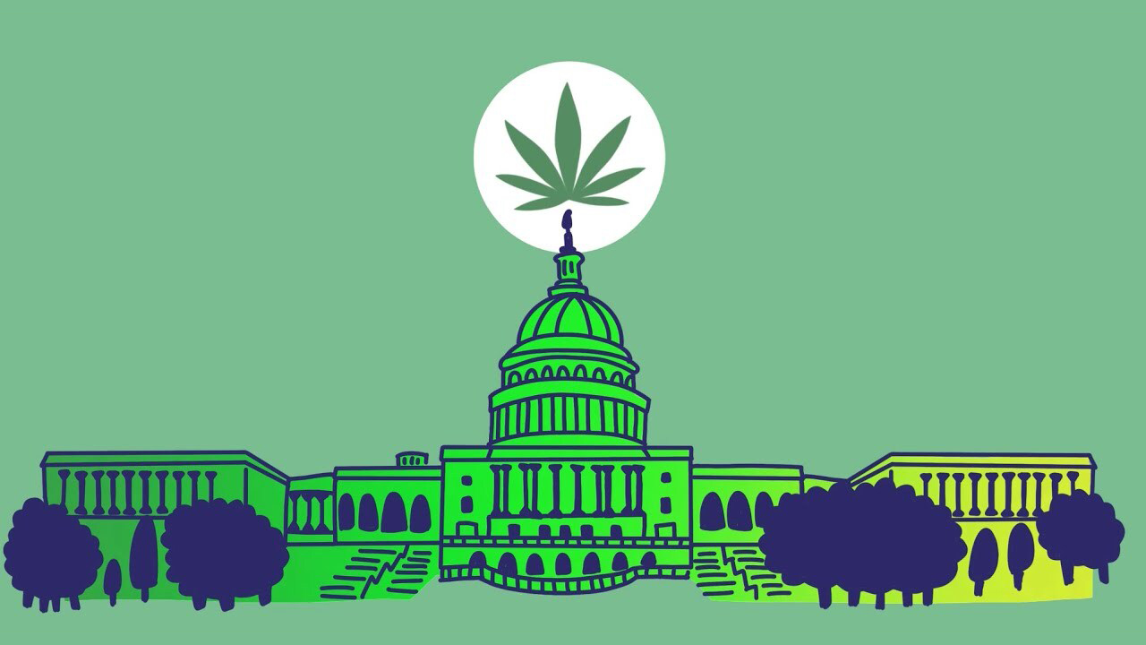 TELL CONGRESS WE HAVE CANNABIS IN COMMON